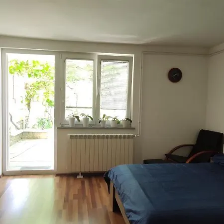 Apartment Apartma Dessa