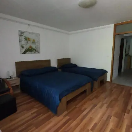 Apartma Dessa * בפורטורוז
