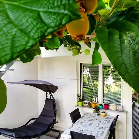 Appartement Apartma Dessa *