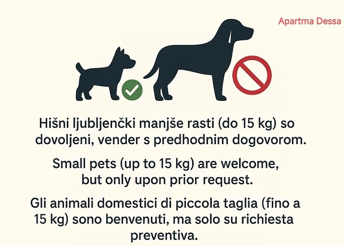 Apartma Dessa 포르토로즈