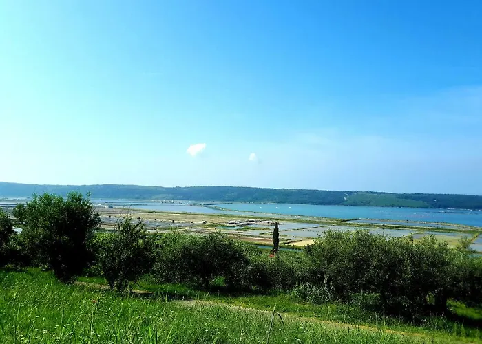 アパート Apartma Dessa *