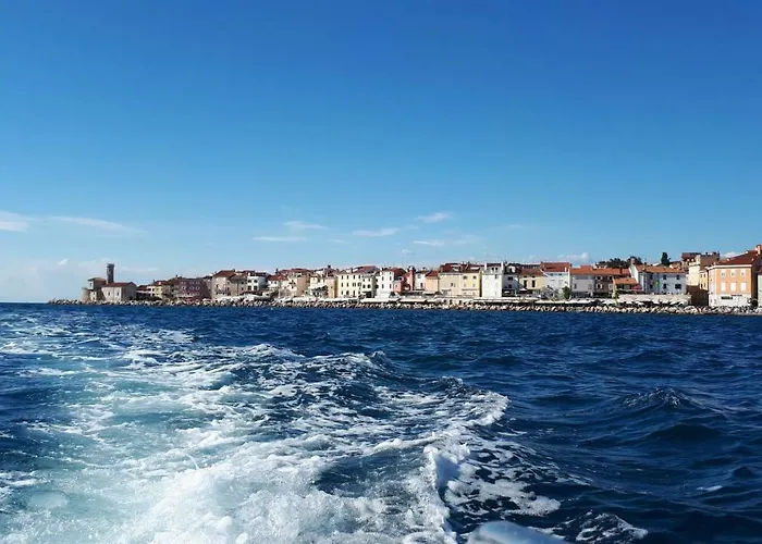 Apartma Dessa ポルトローシュ